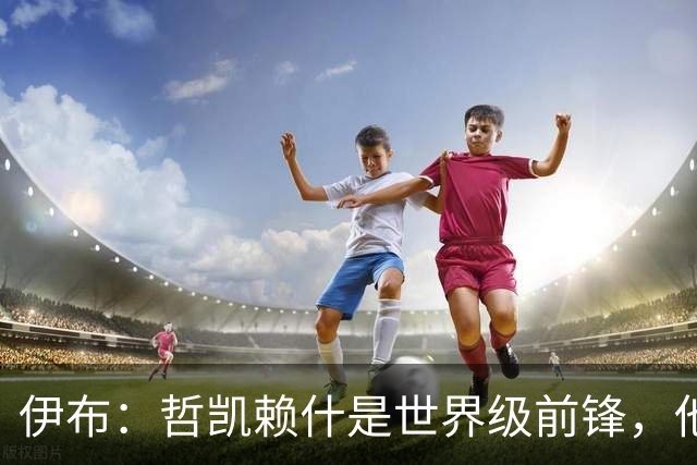 伊布：哲凯赖什是世界级前锋，他不进球应该问问他的队友