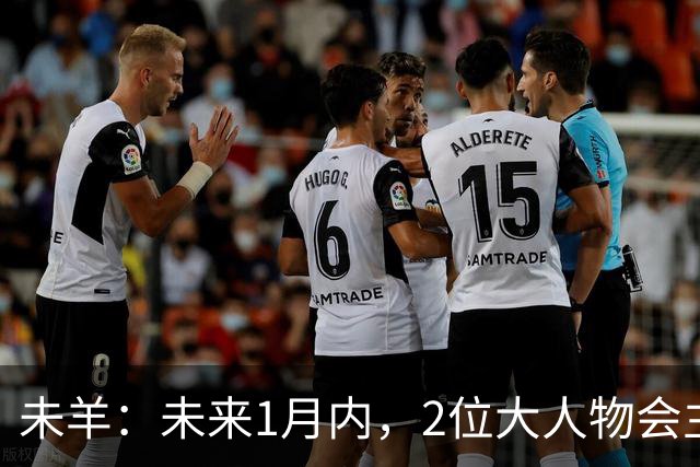 未羊：未来1月内，2位大人物会主动找到你，是你无心善举换来的