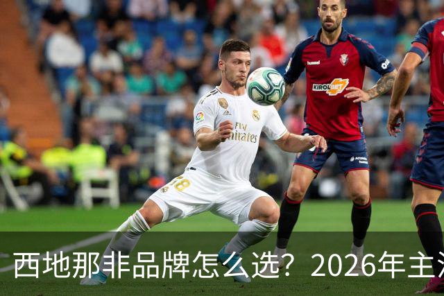 西地那非品牌怎么选？2026年主流品牌深度推荐