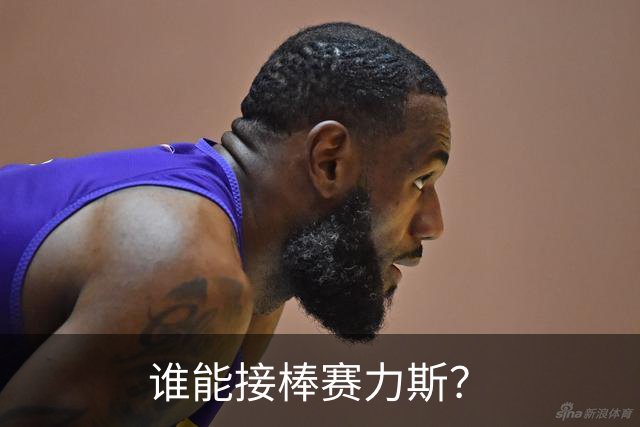 谁能接棒赛力斯？